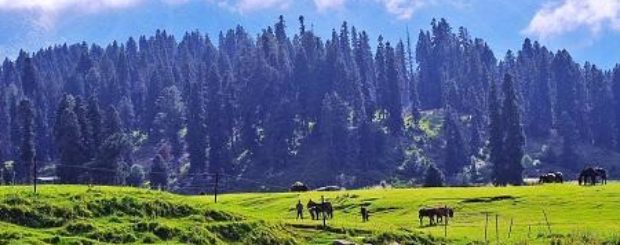 Incredible Kashmir Tour Package 4 nights