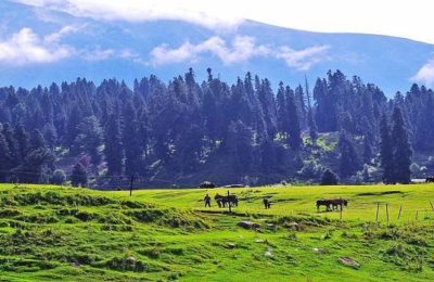 Incredible Kashmir Tour Package 4 nights Gulmarg